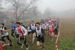 cross_lupatotino_2011_439.jpg