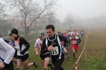 cross_lupatotino_2011_440.jpg