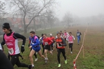 cross_lupatotino_2011_441.jpg