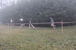 cross_lupatotino_2011_475.jpg