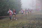 cross_lupatotino_2011_476.jpg
