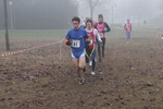 cross_lupatotino_2011_506.jpg