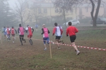 cross_lupatotino_2011_525.jpg