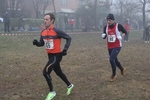 cross_lupatotino_2011_530.jpg
