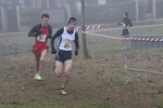 cross_lupatotino_2011_580.jpg