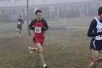 cross_lupatotino_2011_581.jpg