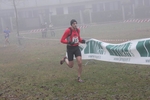 cross_lupatotino_2011_596.jpg