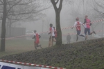 cross_lupatotino_2011_599.jpg