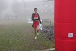 cross_lupatotino_2011_625.jpg