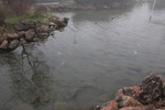 cross_lupatotino_2011_671.jpg