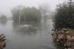 cross_lupatotino_2011_672.jpg