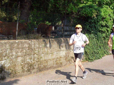 Clicca per vedere l'immagine alla massima grandezza