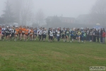 ferraraCDScross_090110_stefano_morselli_0150.jpg