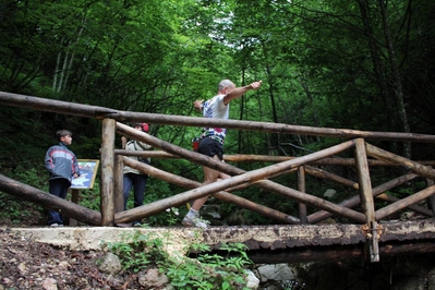 Clicca per vedere l'immagine alla massima grandezza