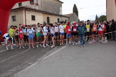 Clicca per vedere l'immagine alla massima grandezza