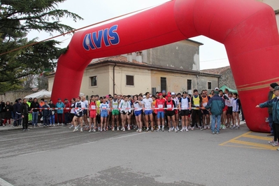 Clicca per vedere l'immagine alla massima grandezza