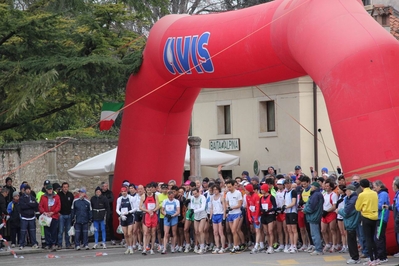 Clicca per vedere l'immagine alla massima grandezza