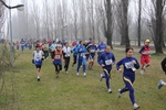 mantova_cross_020.jpg