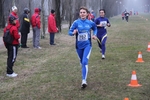 mantova_cross_120.jpg