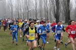 mantova_cross_196.jpg