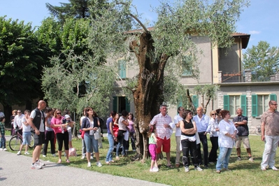 Clicca per vedere l'immagine alla massima grandezza