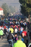 monterfortiana2011_2818329.jpg