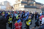 monterfortiana2011_283429.jpg