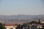 monterfortiana2011_28829.jpg