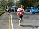 crostolo_270311_139.JPG