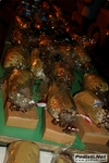 campodimarteRE_2011_morselli_300.JPG
