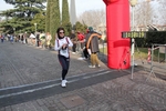 IMG_8379.jpg