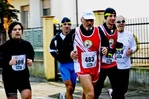 2011-2-6_10_MIGLIA_LUPAT_2811629.jpg