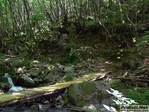 P1520524.JPG