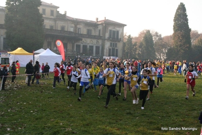 Clicca per vedere l'immagine alla massima grandezza