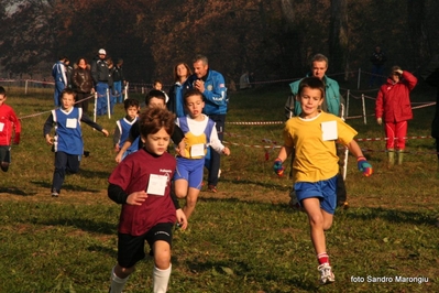 Clicca per vedere l'immagine alla massima grandezza