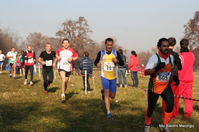 Clicca per vedere l'immagine alla massima grandezza