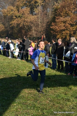 Clicca per vedere l'immagine alla massima grandezza