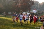 IMG_2484.jpg