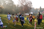 IMG_2485.jpg