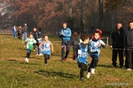 IMG_2595.jpg