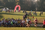 IMG_2694.jpg