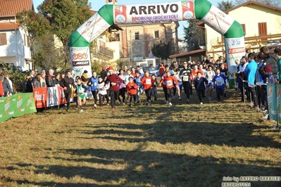 Clicca per vedere l'immagine alla massima grandezza