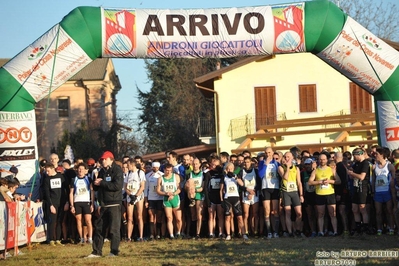 Clicca per vedere l'immagine alla massima grandezza