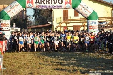 Clicca per vedere l'immagine alla massima grandezza