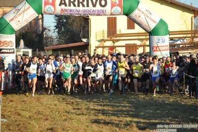 Clicca per vedere l'immagine alla massima grandezza