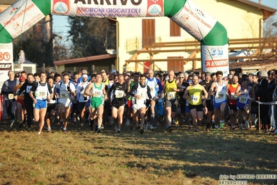 Clicca per vedere l'immagine alla massima grandezza