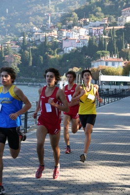 Clicca per vedere l'immagine alla massima grandezza