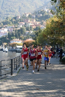 Clicca per vedere l'immagine alla massima grandezza