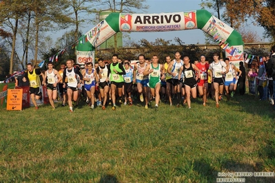 Clicca per vedere l'immagine alla massima grandezza