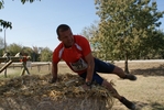 DSC07524.jpg